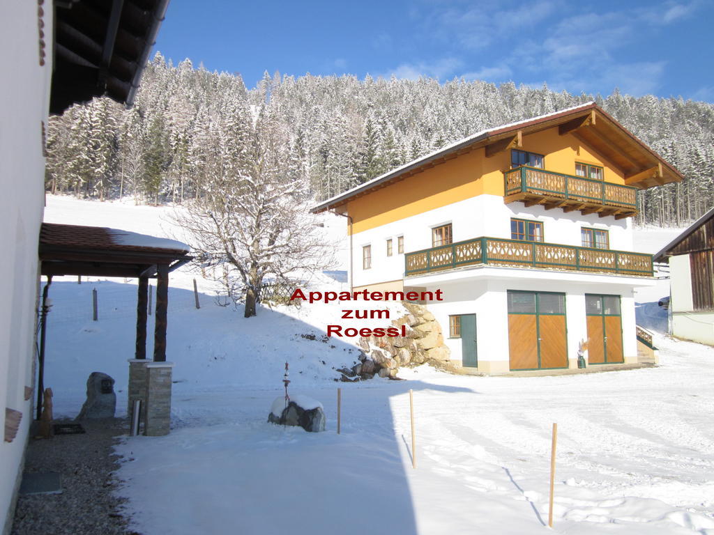 Appartement Zum Roessl Ramsau am Dachstein Chambre photo
