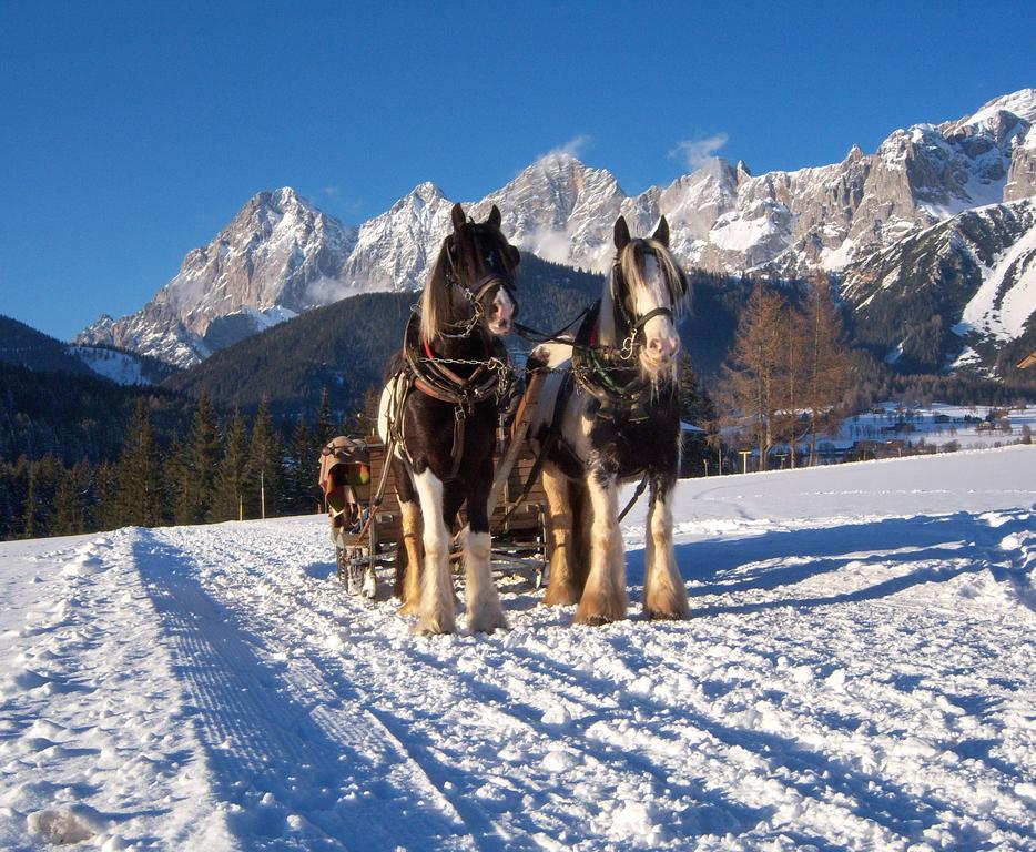 Appartement Zum Roessl Ramsau am Dachstein Extérieur photo